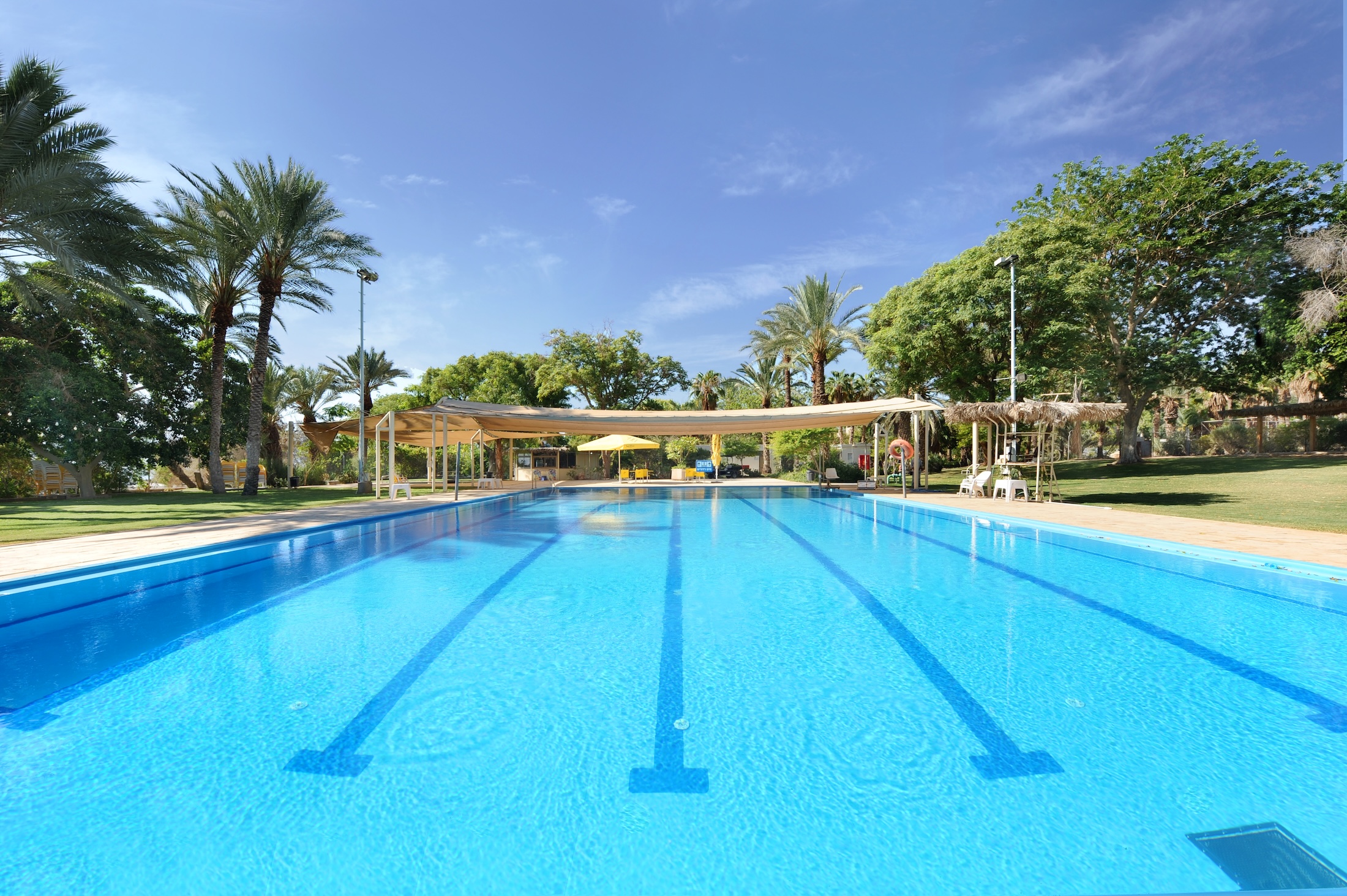 כפר הנופש קליה – חוויה קיבוצית לכל המשפחה